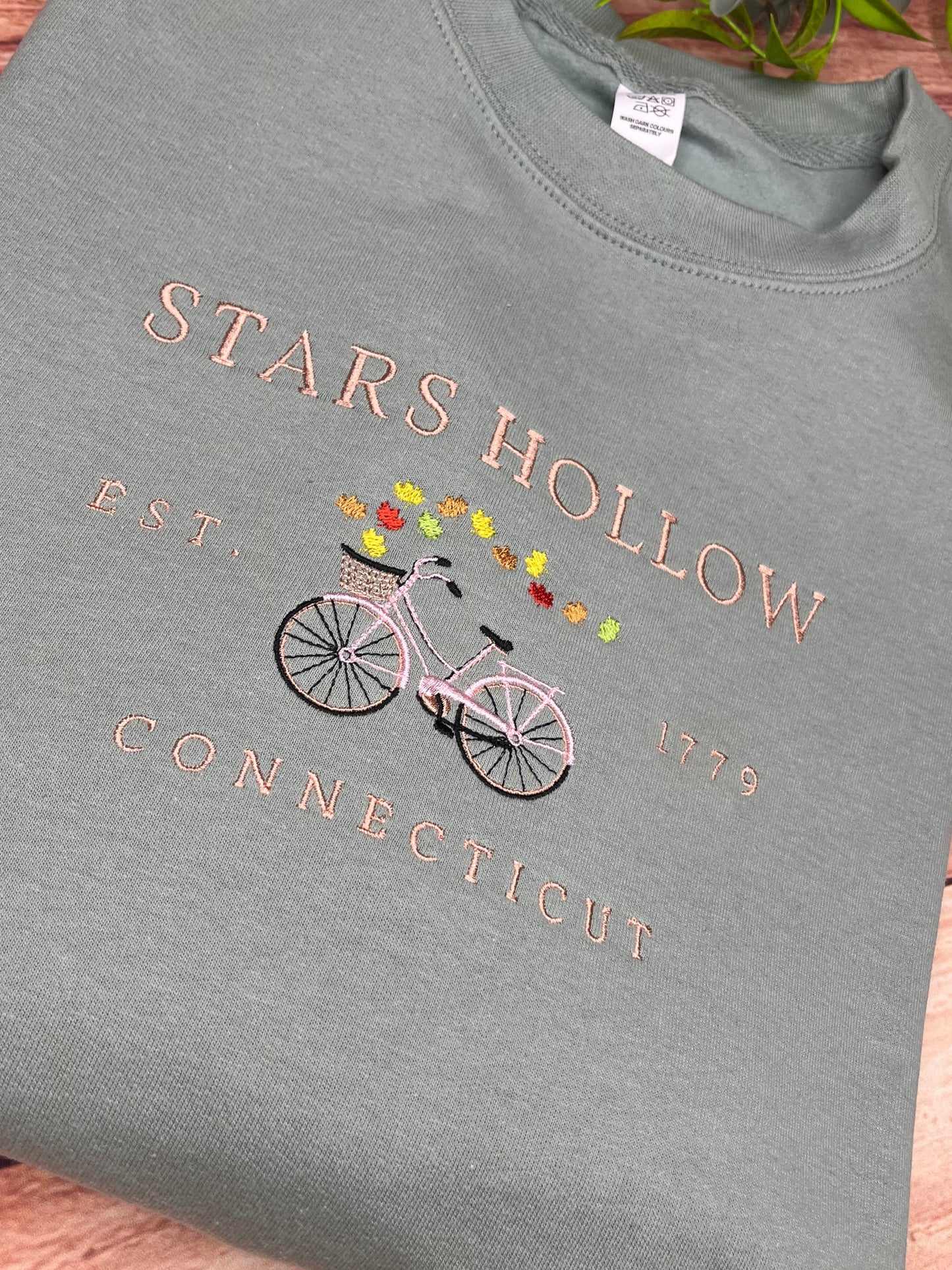 STARS HOLLOW EMBROIDERED BIKE SWEATSHIRT